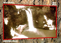 Twin Peaks Star Pics Card 52